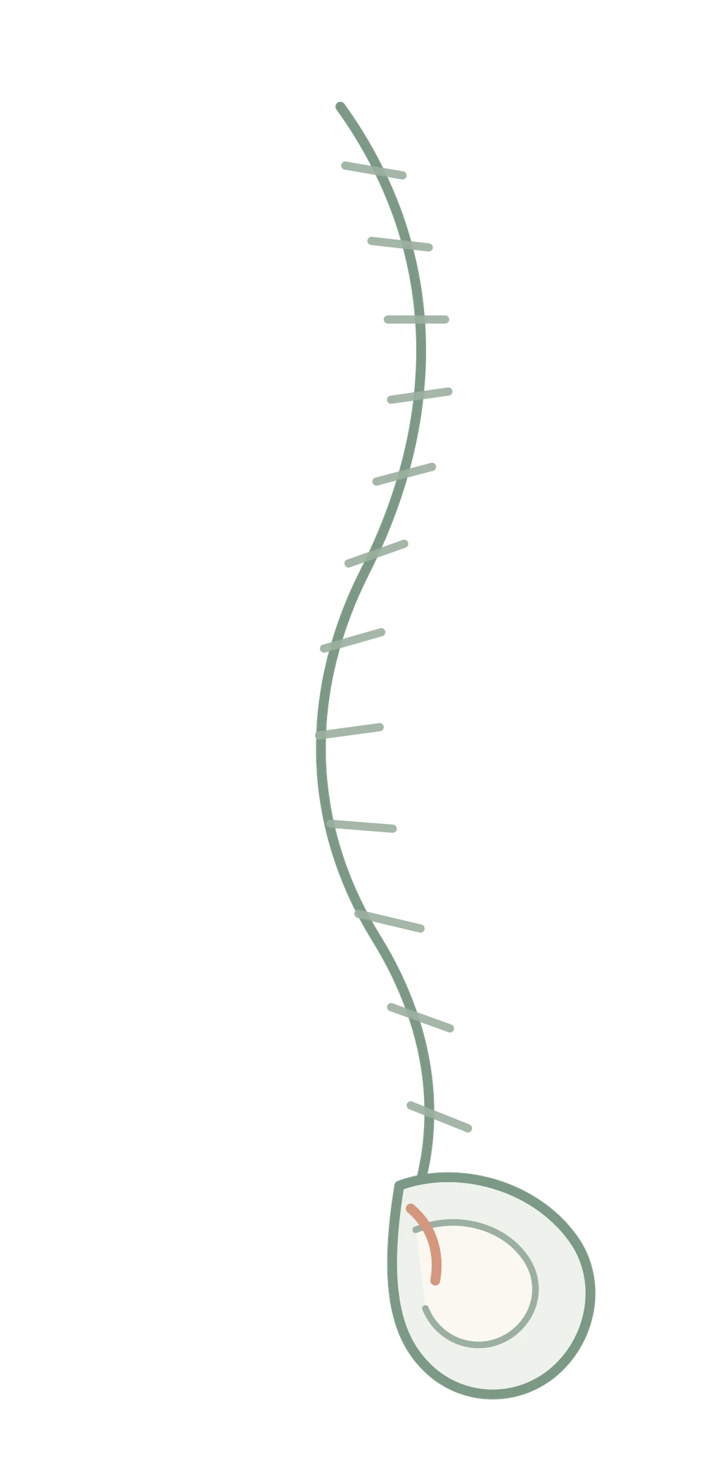 Illustration d'une colonne vertébrale stylisée